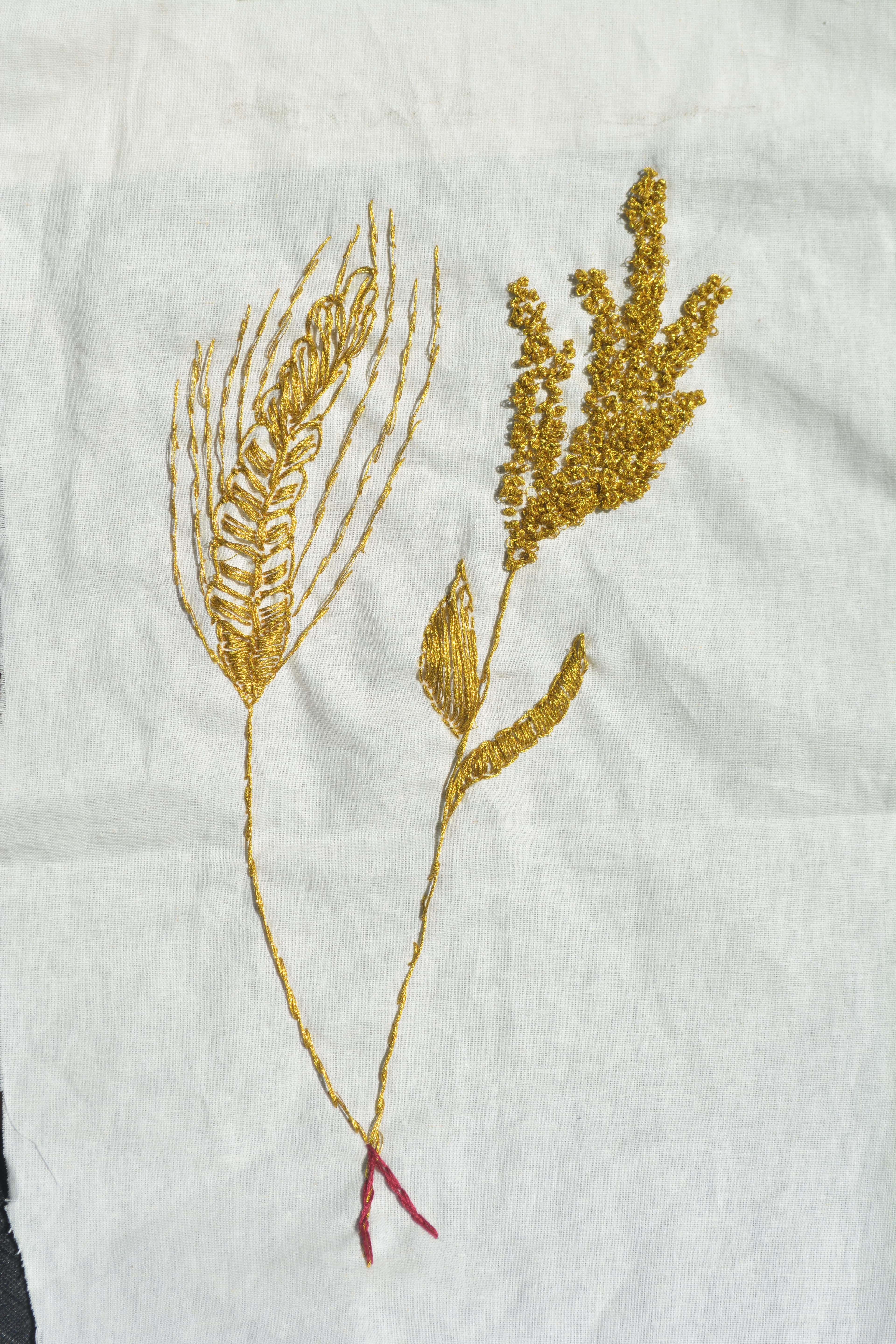 Shining metallic gold grain embroidered on white fabric